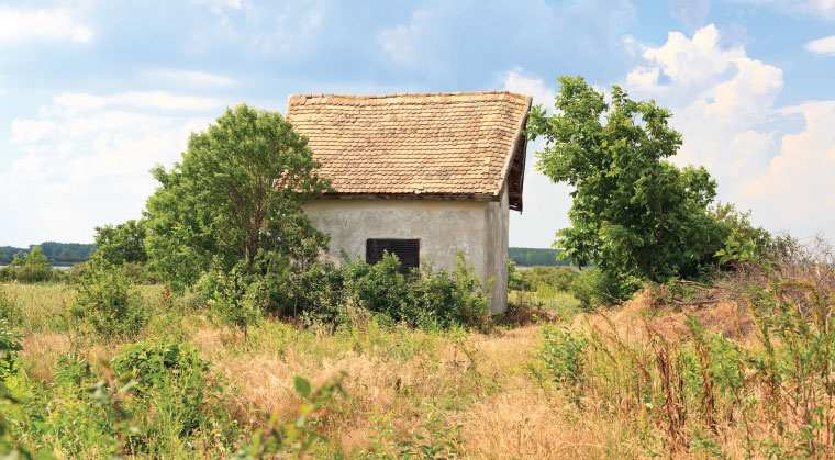 mishpacha image mishpacha image