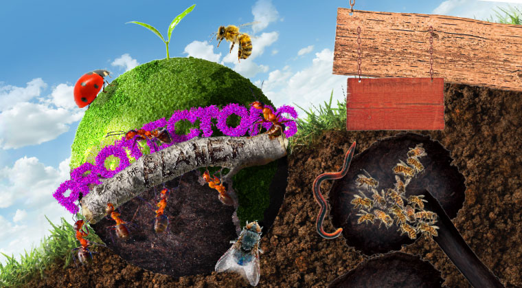 mishpacha image mishpacha image