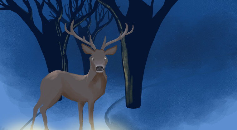 mishpacha image mishpacha image