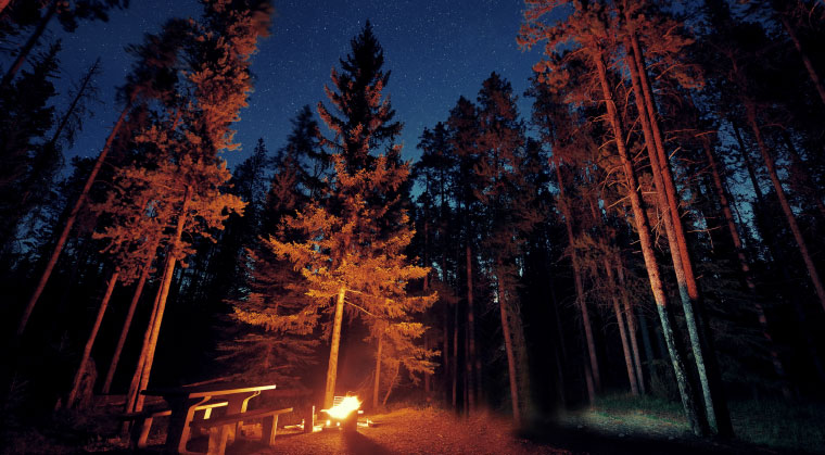 mishpacha image mishpacha image