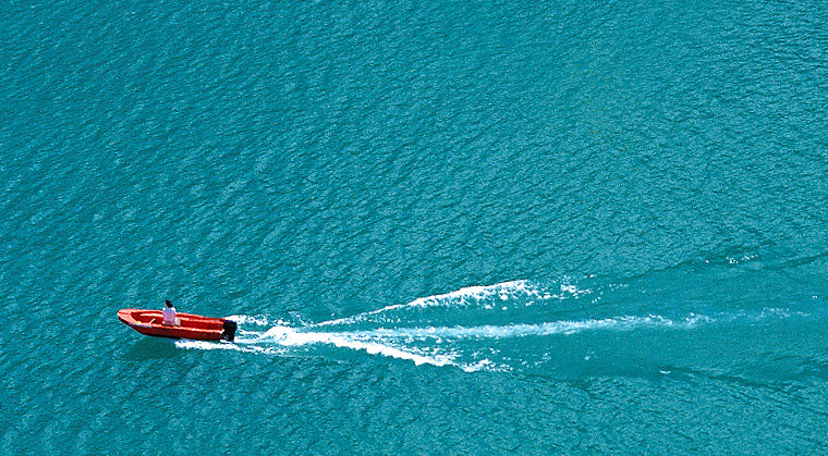 mishpacha image mishpacha image