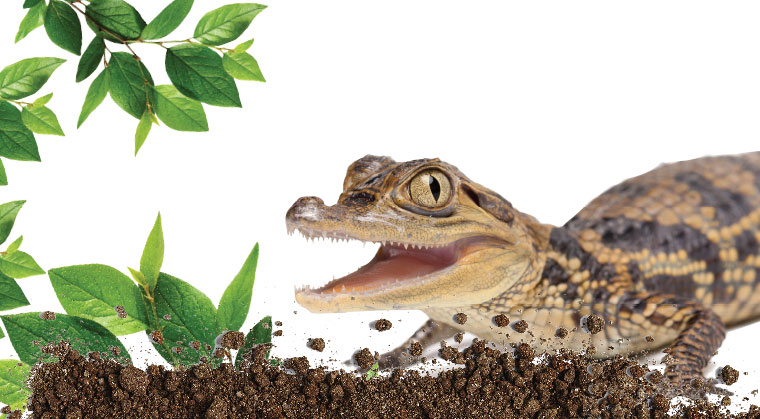 mishpacha image mishpacha image