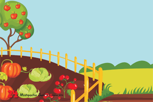 vector of garden