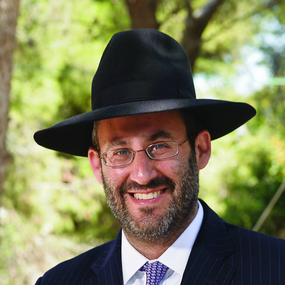 Rabbi Dovid M. Cohen