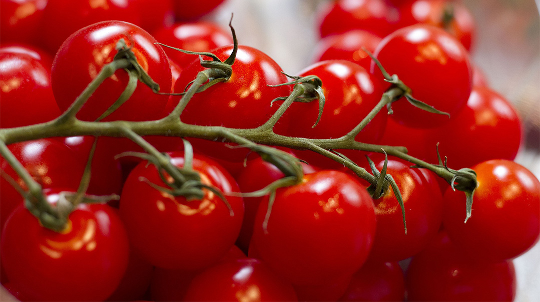 roasted grape tomatoes