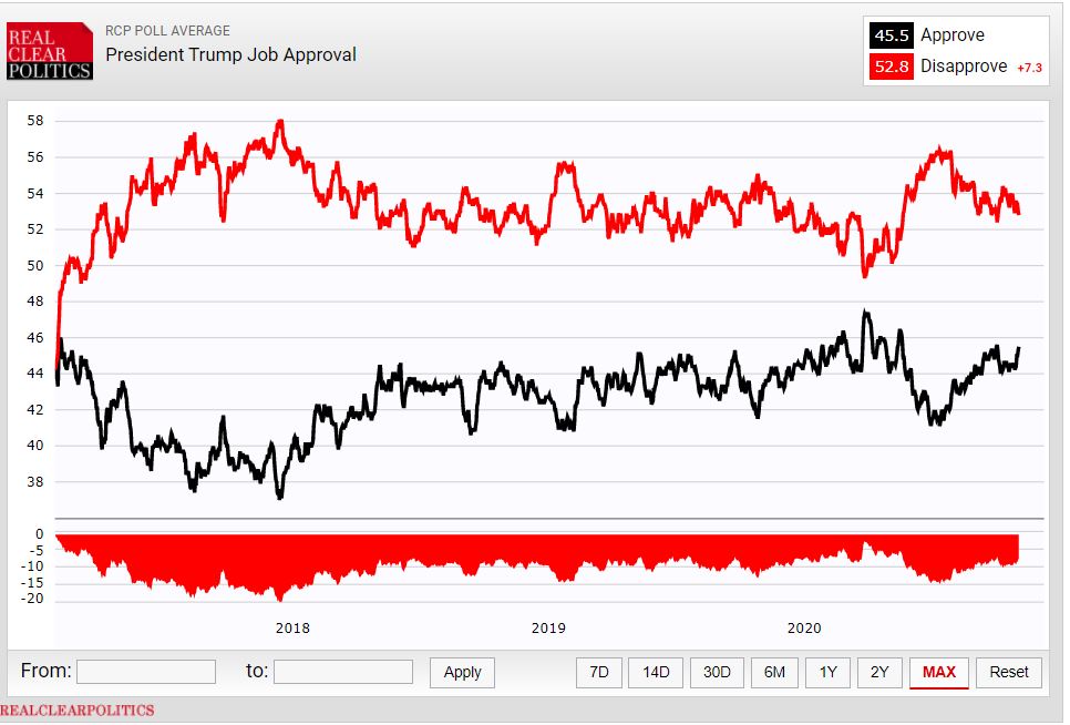 Elections 2020 Rose Report Liveblog Mishpacha Magazine