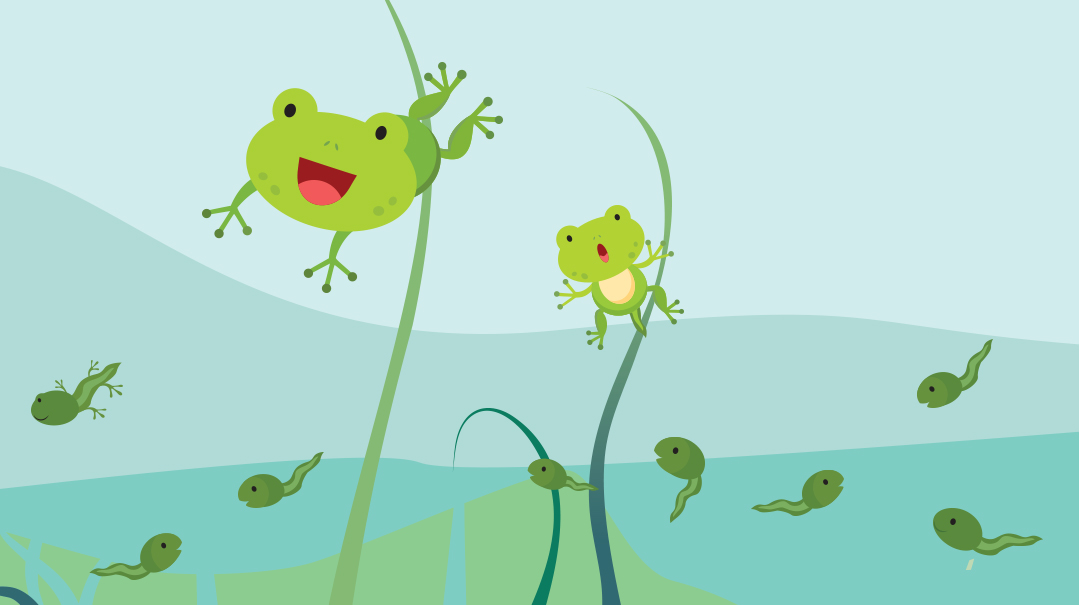 Tadpoles Here, Tadpoles There - Mishpacha Magazine