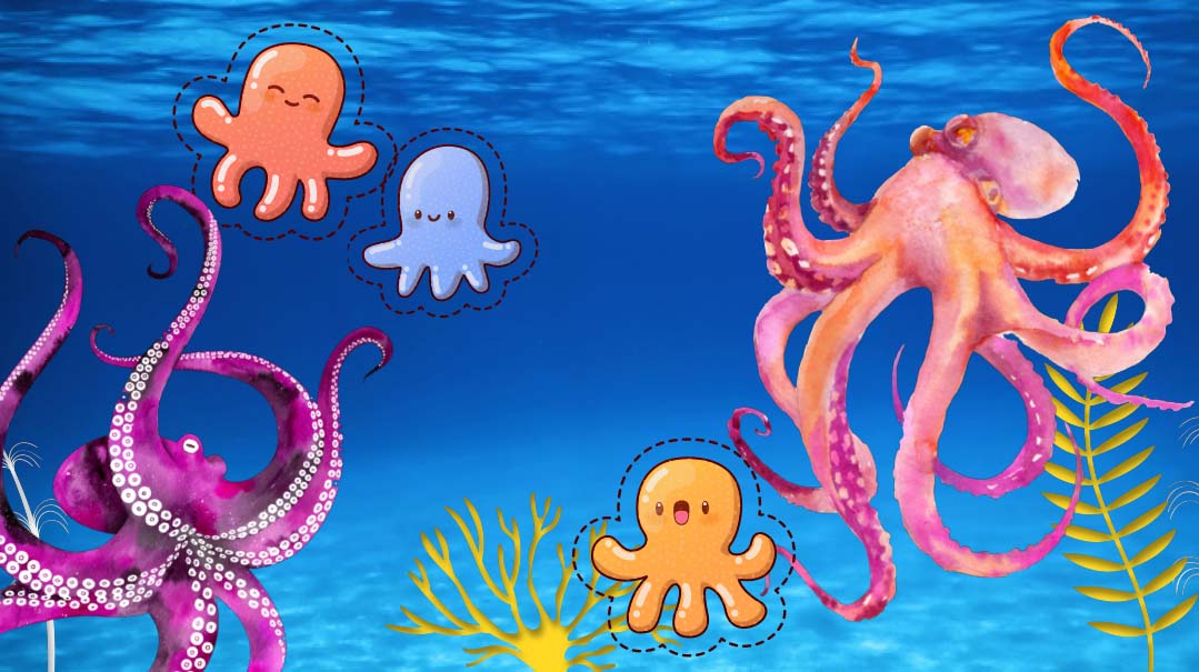 Octopus Escapades - Mishpacha Magazine