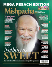 How Do You Q? - Mishpacha Magazine