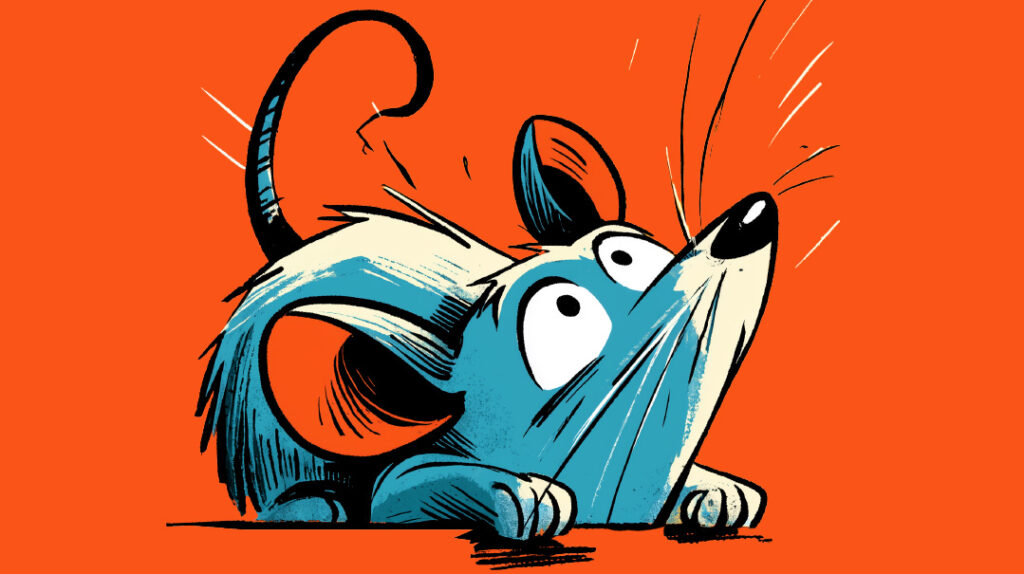 Rat